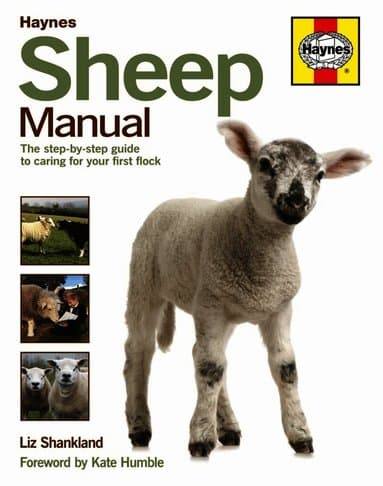 Sheep Manual