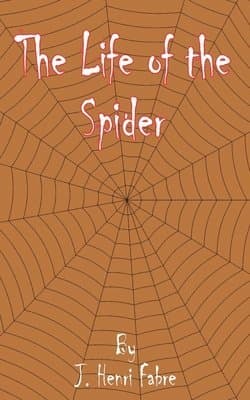 Life of the Spider