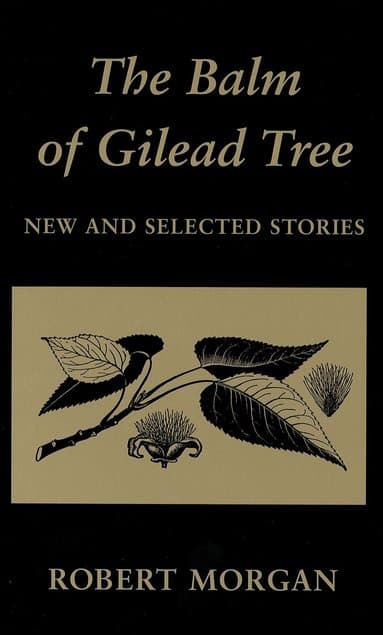 Balm of Gilead Tree