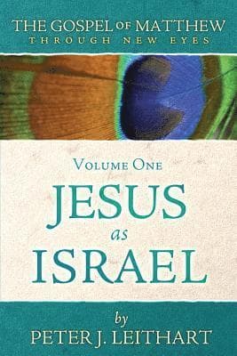 Gospel of Matthew Through New Eyes Volume One