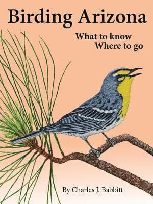 Birding Arizona: What to Know, Where to Go