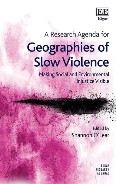Research Agenda for Geographies of Slow Violence