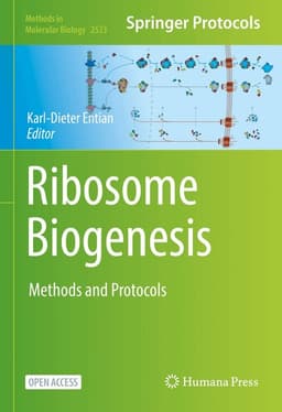 Ribosome Biogenesis