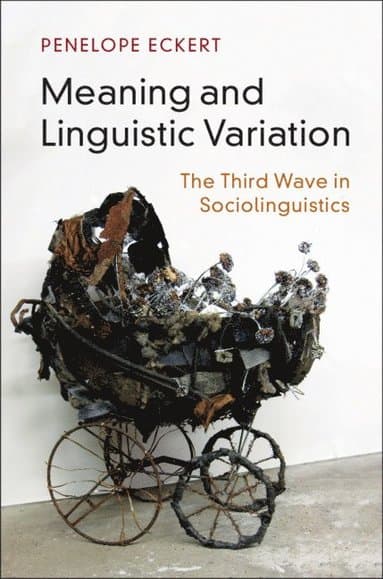 Meaning and Linguistic Variation