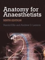 Anatomy for Anaesthetists
