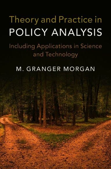 Theory and Practice in Policy Analysis