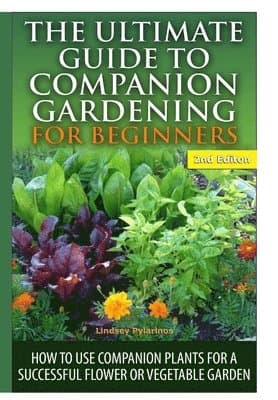 Ultimate Guide to Companion Gardening for Beginners