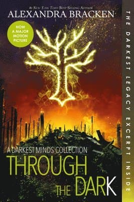 Through the Dark (Bonus Content)-A Darkest Minds Collection