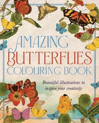Amazing Butterflies Colouring Book