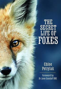 Secret Life of Foxes