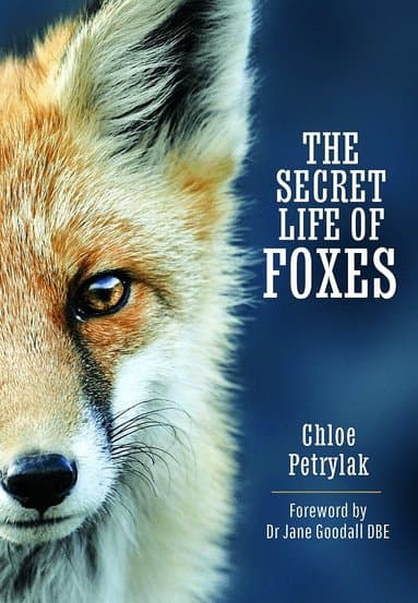 Secret Life of Foxes