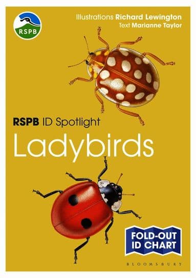 RSPB ID Spotlight - Ladybirds