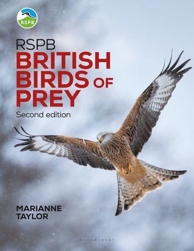 RSPB British Birds of Prey