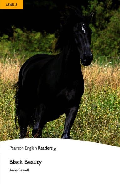 Level 2: Black Beauty