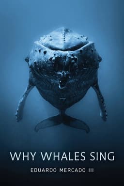 Why Whales Sing