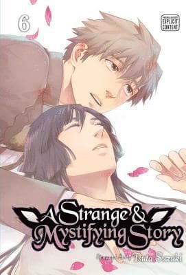 Strange & Mystifying Story, Vol. 6