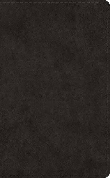 Omslag till boken ESV Pocket Bible av Esv Bibles