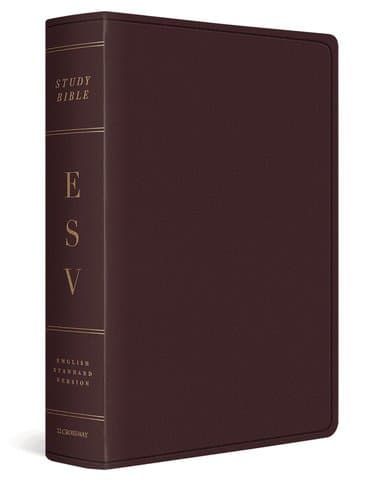 Omslag till boken ESV Study Bible, Large Print av Esv Bibles