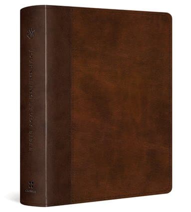 Omslag till boken ESV Journaling Study Bible