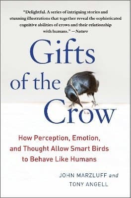 Gifts of the Crow