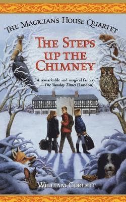Steps Up the Chimney