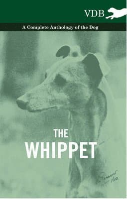 Whippet - A Complete Anthology of the Dog