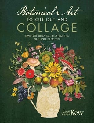 Botanical Art to Cut out and Collage