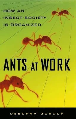 Ants At Work