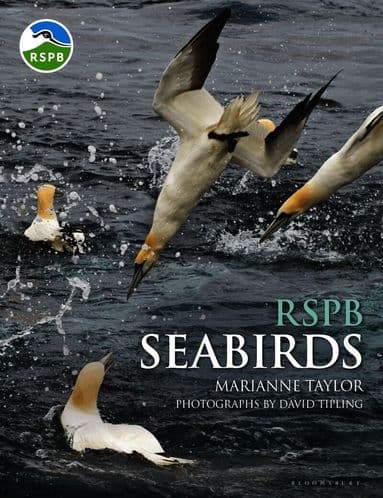 RSPB Seabirds