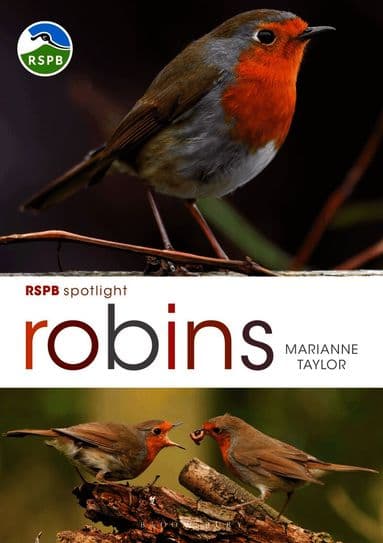 RSPB Spotlight: Robins