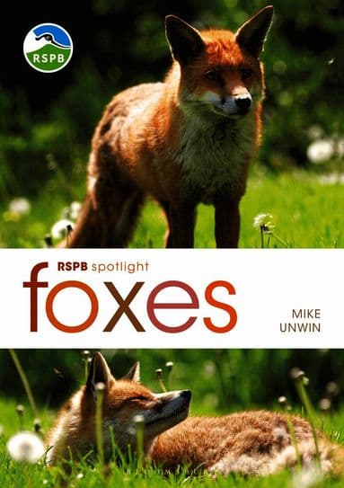 RSPB Spotlight: Foxes