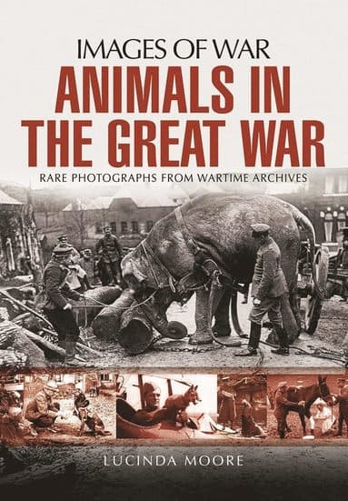 Animals in the Great War