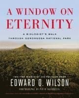 Window on Eternity