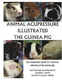 Animal Acupressure Illustration The Guinea Pig