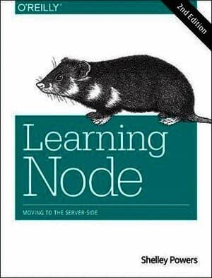 Learning Node 2e