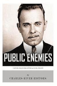 Public Enemies: Al Capone, John Dillinger, Bonnie & Clyde, and Baby Face Nelson