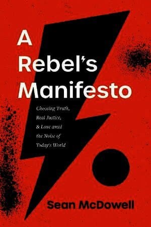 Rebel's Manifesto, A
