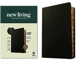 NLT Large Print Thinline Reference Bible, Filament Edition