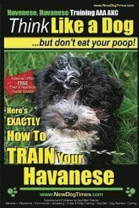Havanese, Havanese Training AAA AKC Think Like a Dog, But Don't Eat Your Poop!: Here's EXACTLY How To TRAIN Your Havanese