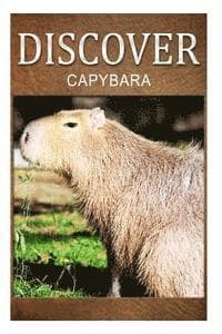 Capybara - Discover: Early reader's wildlife photography book