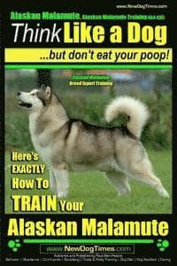 Alaskan Malamute, Alaskan Malamute Training AAA AKC: Think Like a Dog, but Don't Eat Your Poop! Alaskan Malamute Breed Expert Training: Here's EXACTLY
