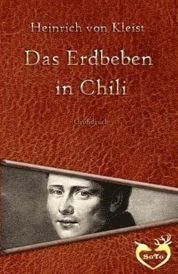 Das Erdbeben in Chili - Großdruck