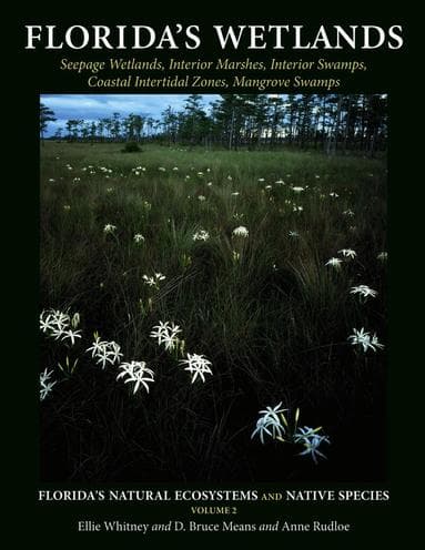 Florida's Wetlands