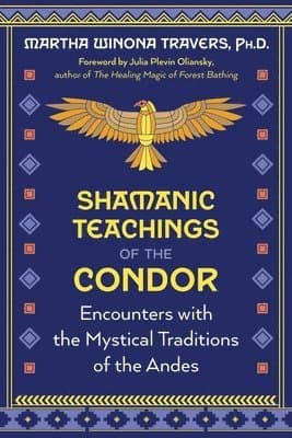 Shamanic Teachings of the Condor