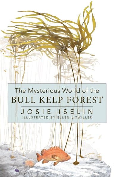 Mysterious World of the Bull Kelp Forest