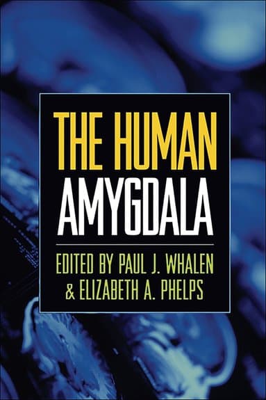 Human Amygdala