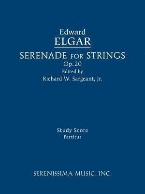 Serenade for Strings, Op.20
