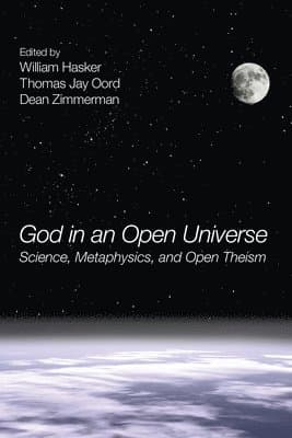 God in an Open Universe