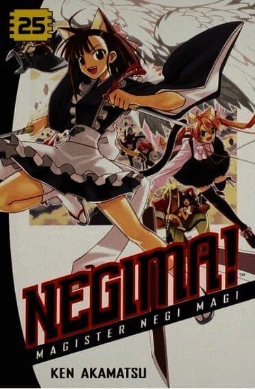 Negima! 25