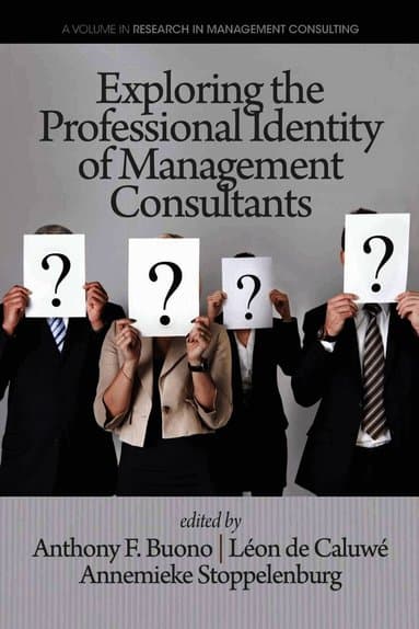 Exploring the Professional Identity of Management Consultants